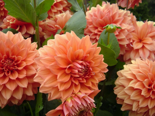 586379 (a): :1600x1200